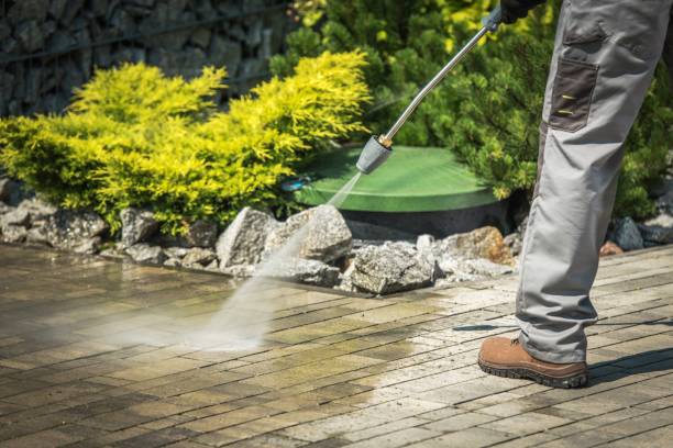 Best Roof Cleaning and Mildew Removal in Heath, TX